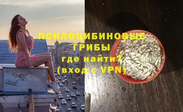 прущий лед Алексин