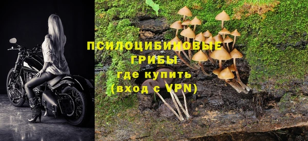 крисы Абинск